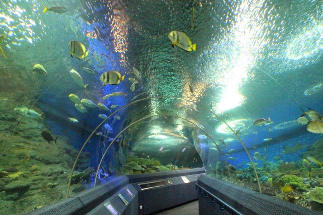 Oyo 549 Maesri Resort Pattaya Dış mekan fotoğraf